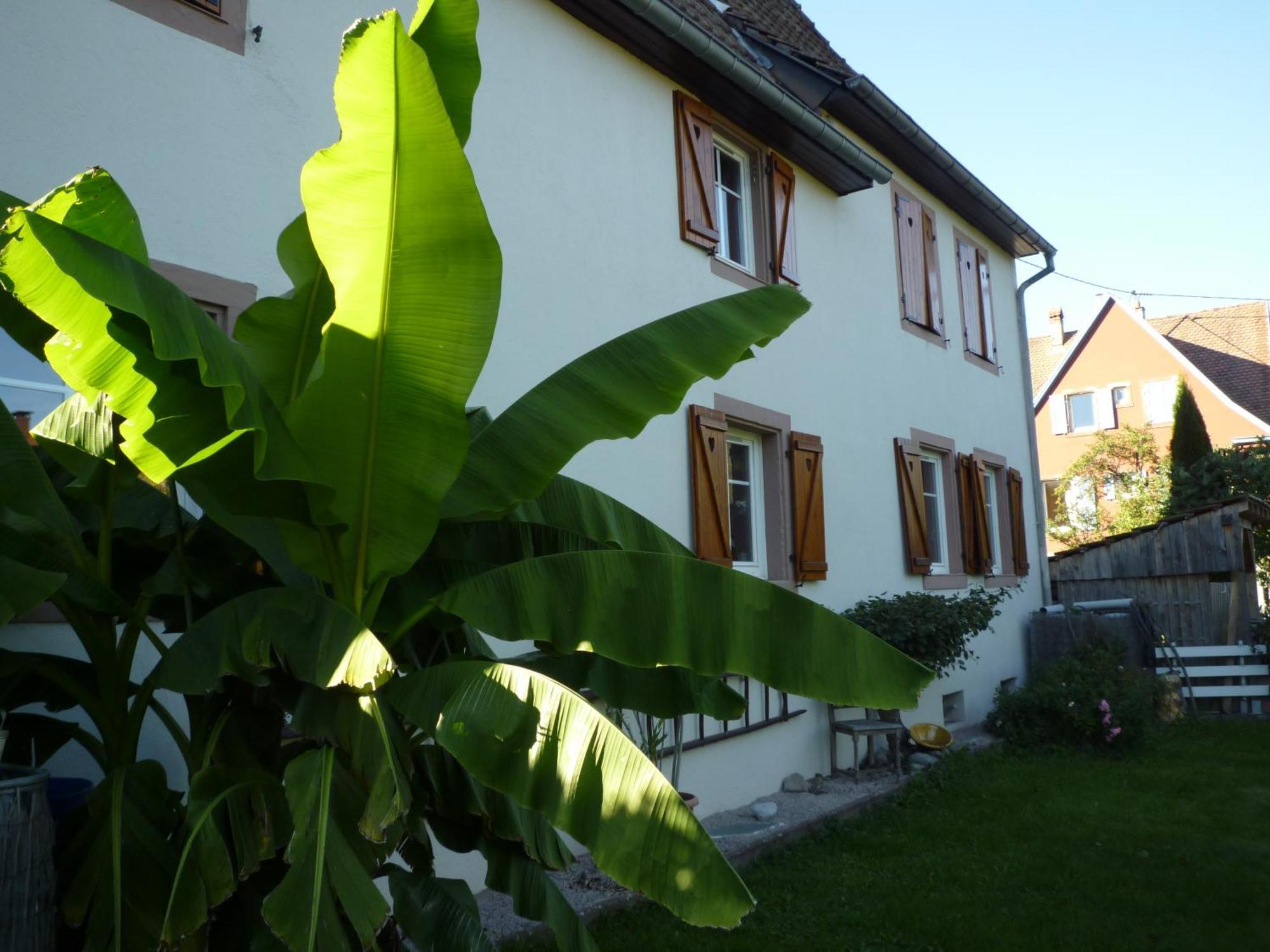 Gîte La Charmaie Husseren-Wesserling Extérieur photo