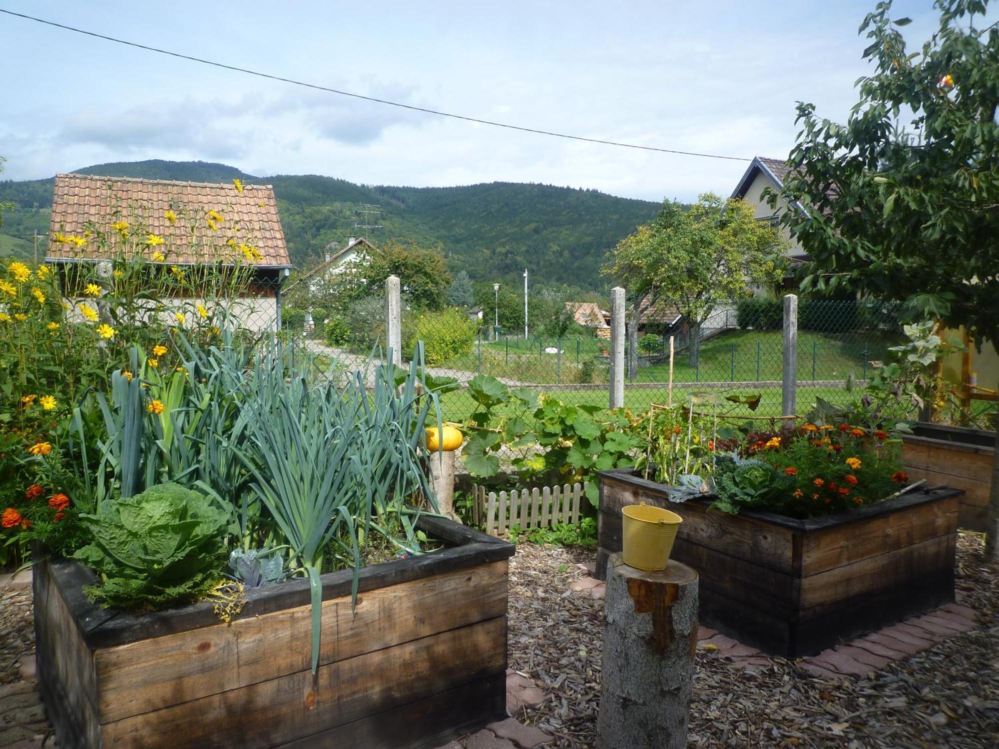 Gîte La Charmaie Husseren-Wesserling Extérieur photo